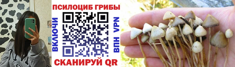 ОМГ ОМГ онион  наркотики  Жуковка  Псилоцибиновые грибы мицелий 